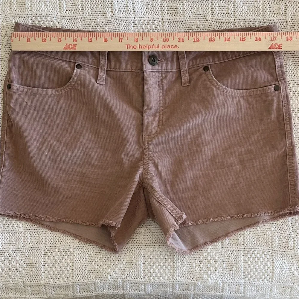 Carve Designs Oahu 4" Short in Fawn Size 10 - Picture 5 of 11